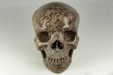 Carved Brown Rhyolite Stone Skull #199612-1